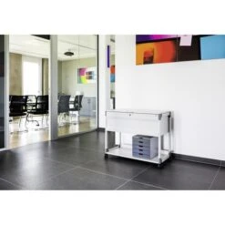 Durable Hängeregistraturwagen 3787-10 Multi, Für 100 Mappen A4, Grau, Abschließbar -Durable 322b8fc142a365b72dc2439f61ba11ea24ec5c2a haengeregistraturwagen durable 3787 10 multi