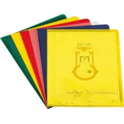 Durable Sichthüllen 2337-00, A4, Genarbt, 0,10mm, Aus PP, Farbig Sortiert, 100 Stück